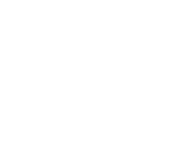 DMES